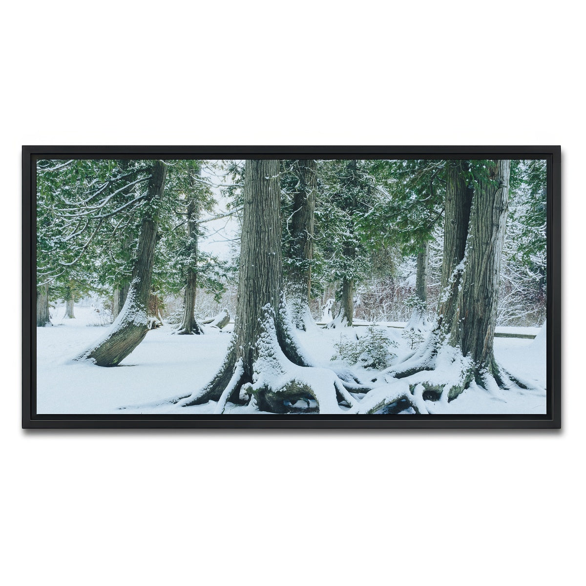 AUTO-MOCKUP WHITE | Winter in Northern BC 1 | 1 Piece | Black Framed Canvas | group=2x1