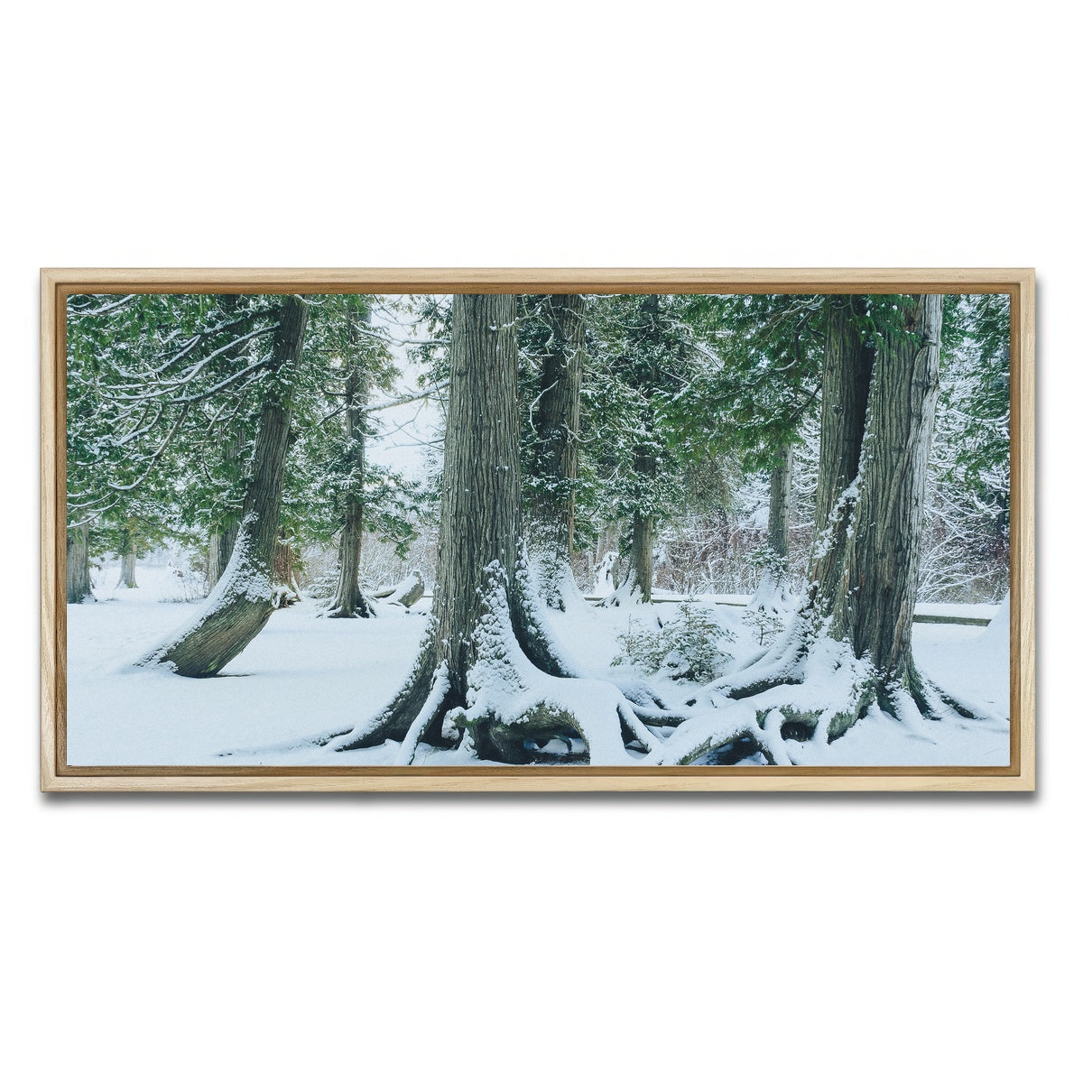AUTO-MOCKUP WHITE | Winter in Northern BC 1 | 1 Piece | Natural Framed Canvas | group=2x1