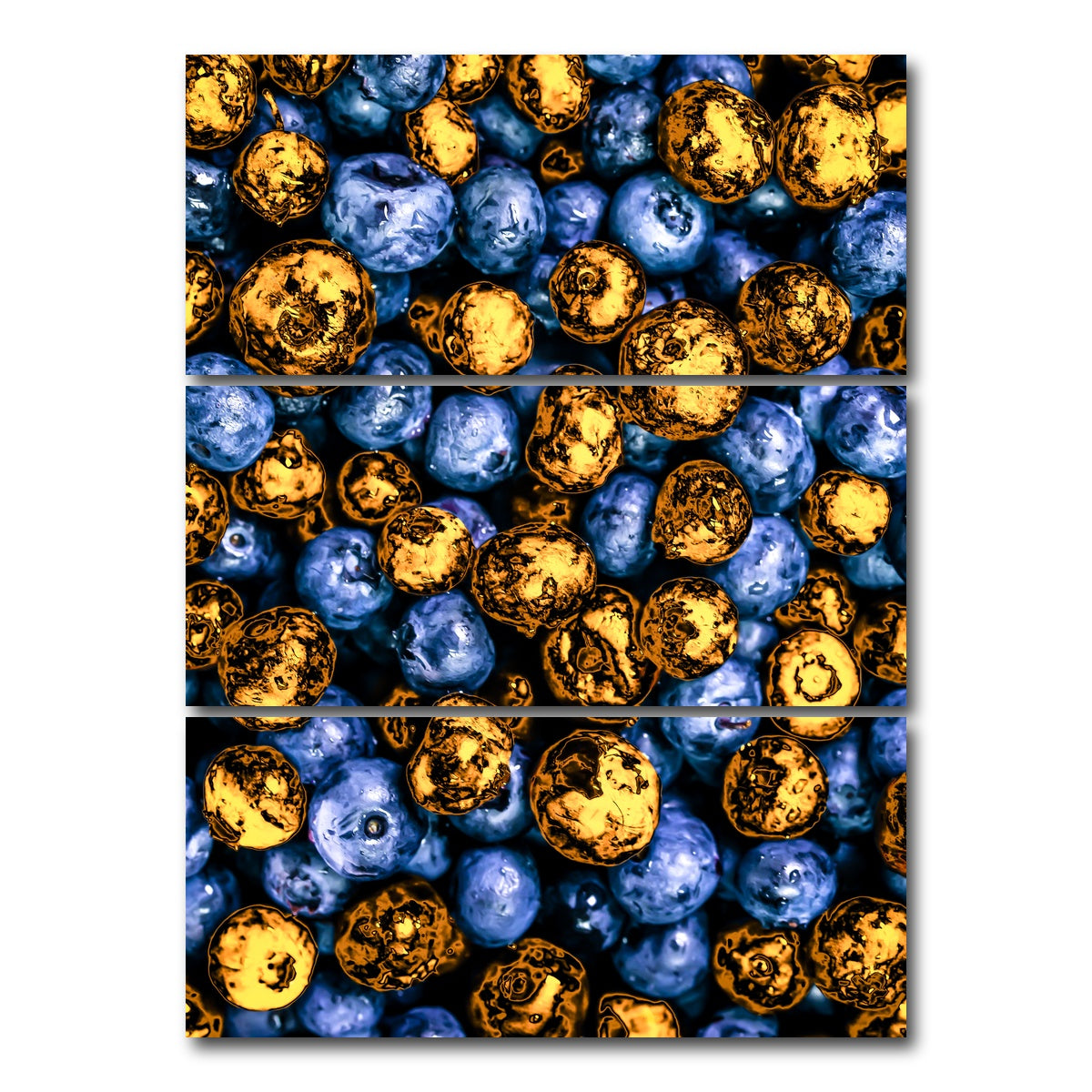 AUTO-MOCKUP WHITE | blueberries | 3 Piece | Gallery Wrap Canvas | group=8x18_stacked