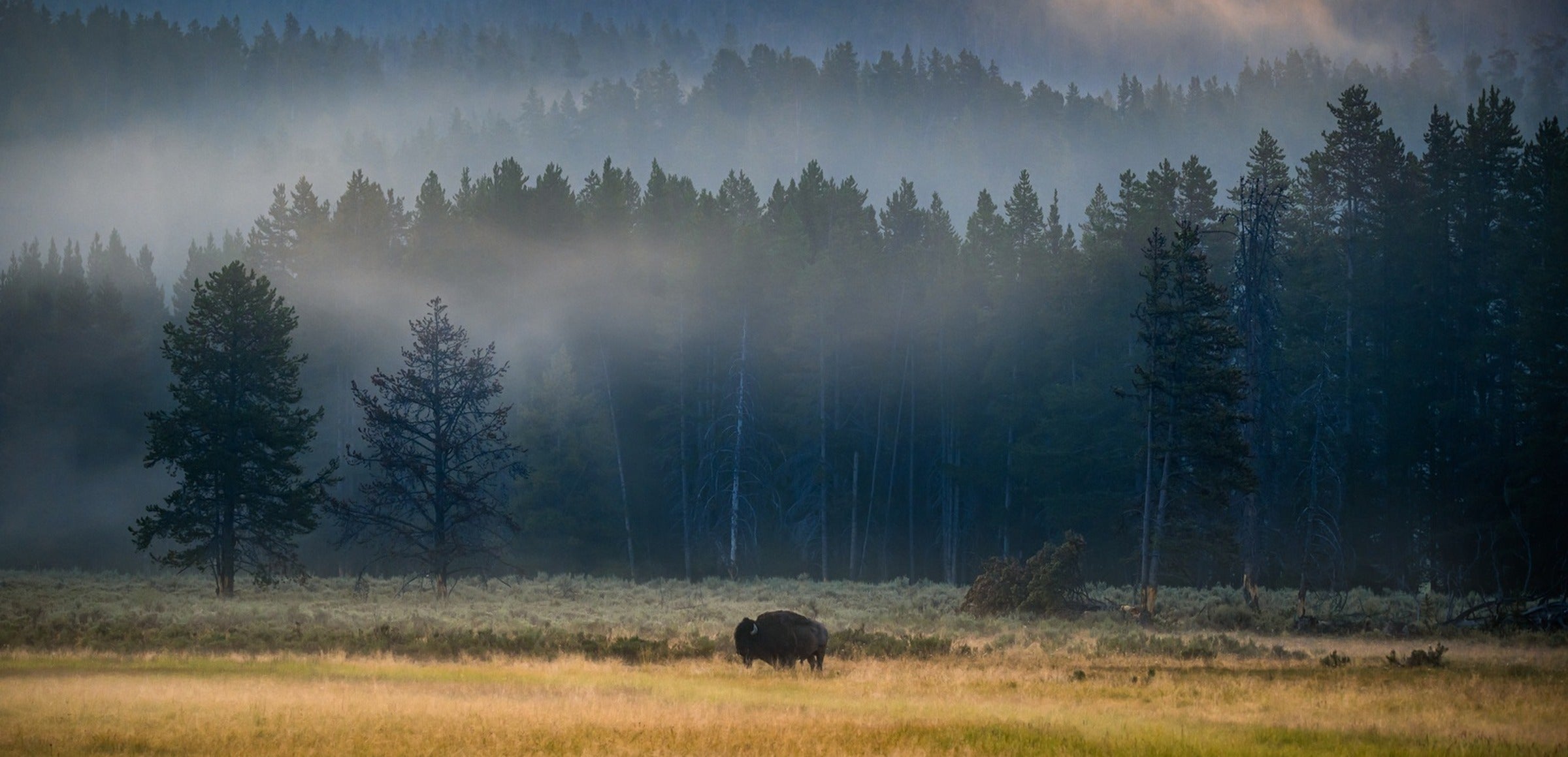 Yellowstone collection hero - Yellowstone at Dawn