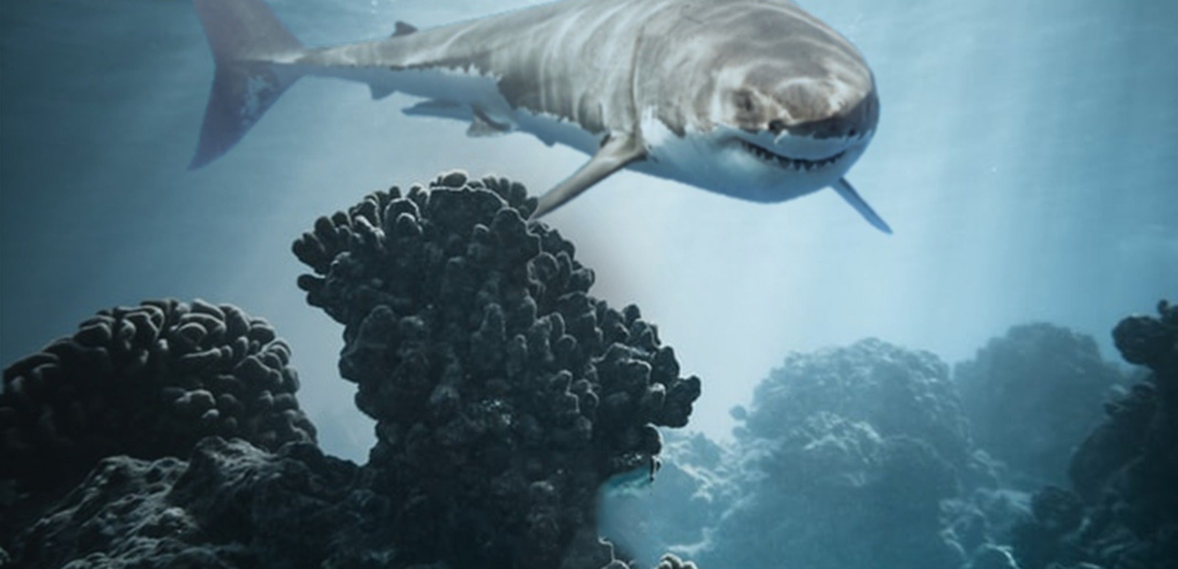 Great White Shark Wall Art collection hero - Underwater Terror
