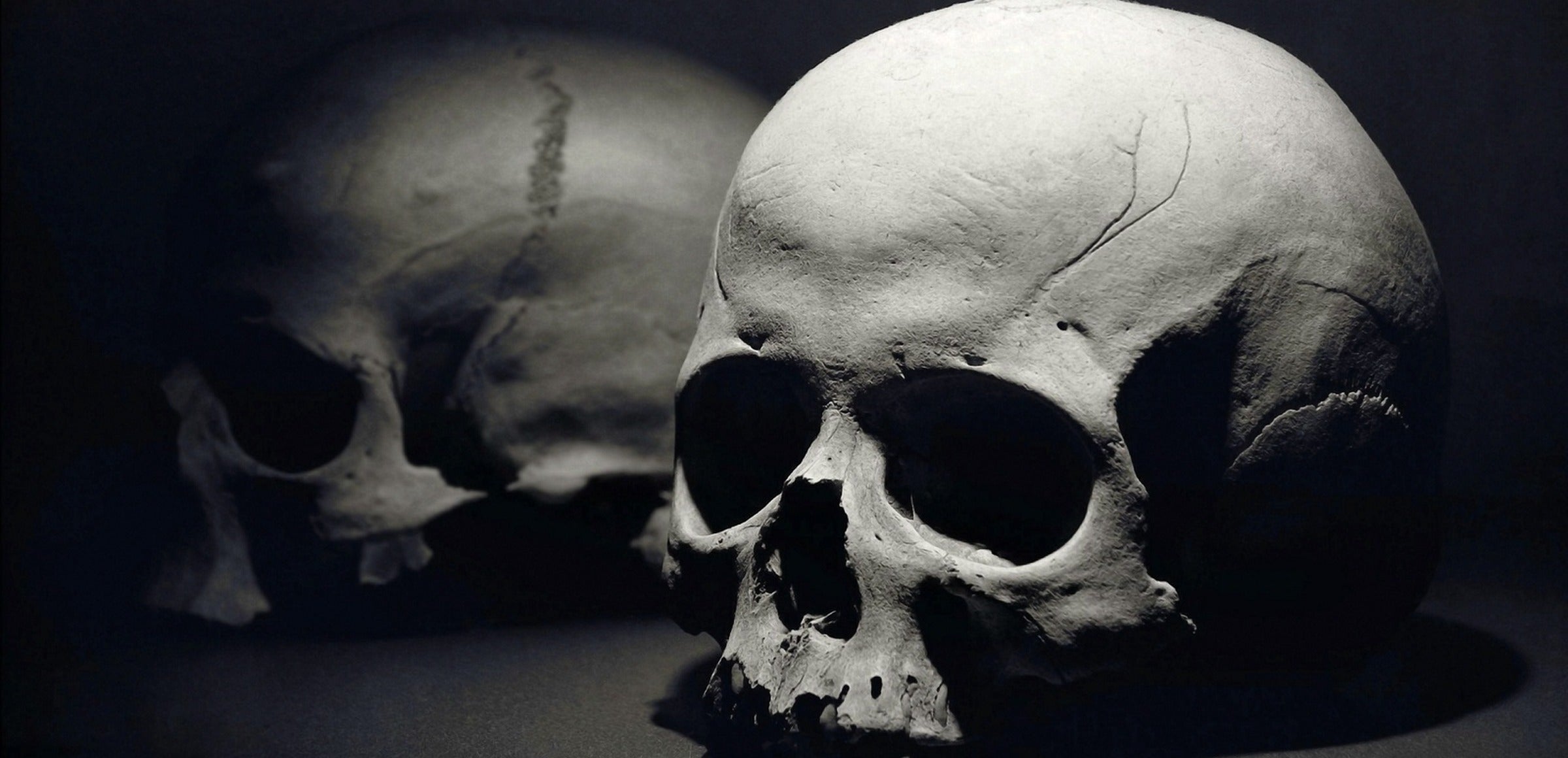 Skulls collection hero - Skulls