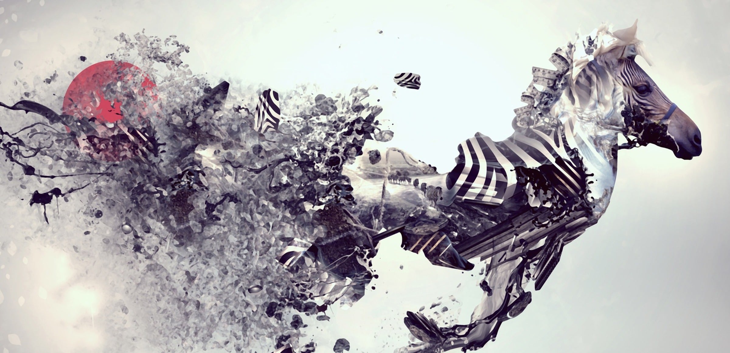 Home page collection hero - Zebra Abstract