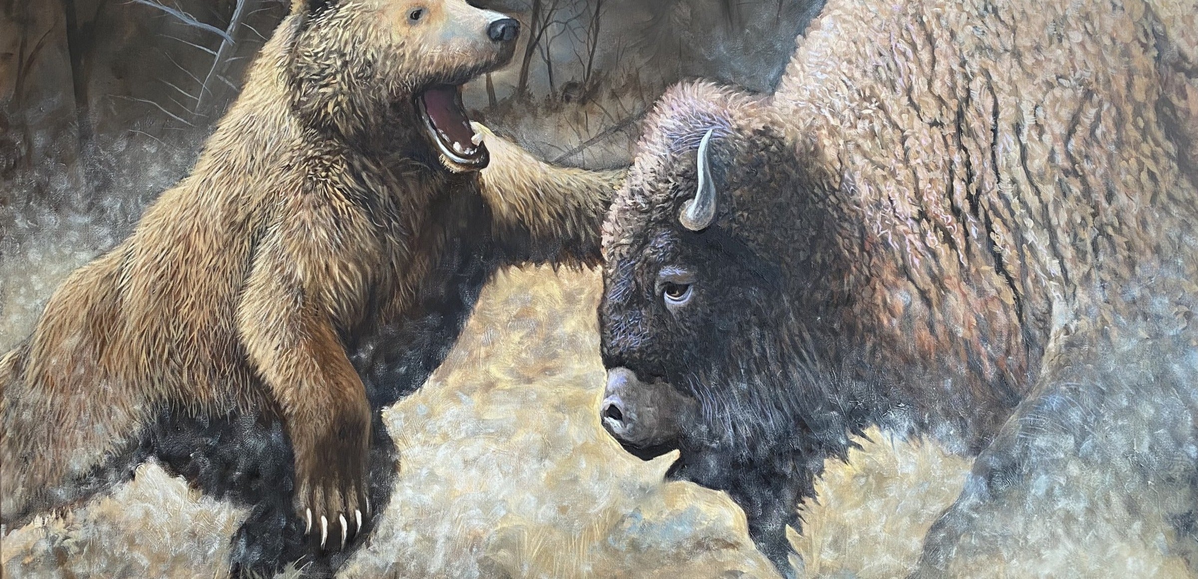 Chance Tedesco collection hero - Bear and Buffalo