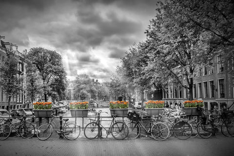 A Typical Amsterdam Wall Art