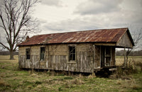 Abandoned Cabin Louisiana Wall Art