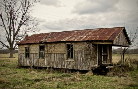 Abandoned Cabin Louisiana Wall Art