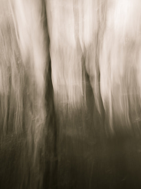 Abstract Heath Wall Art