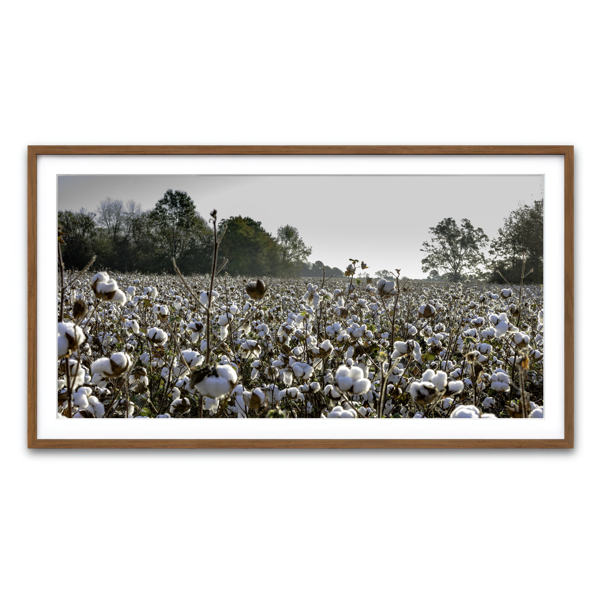 Framed Print 2x1 Walnut