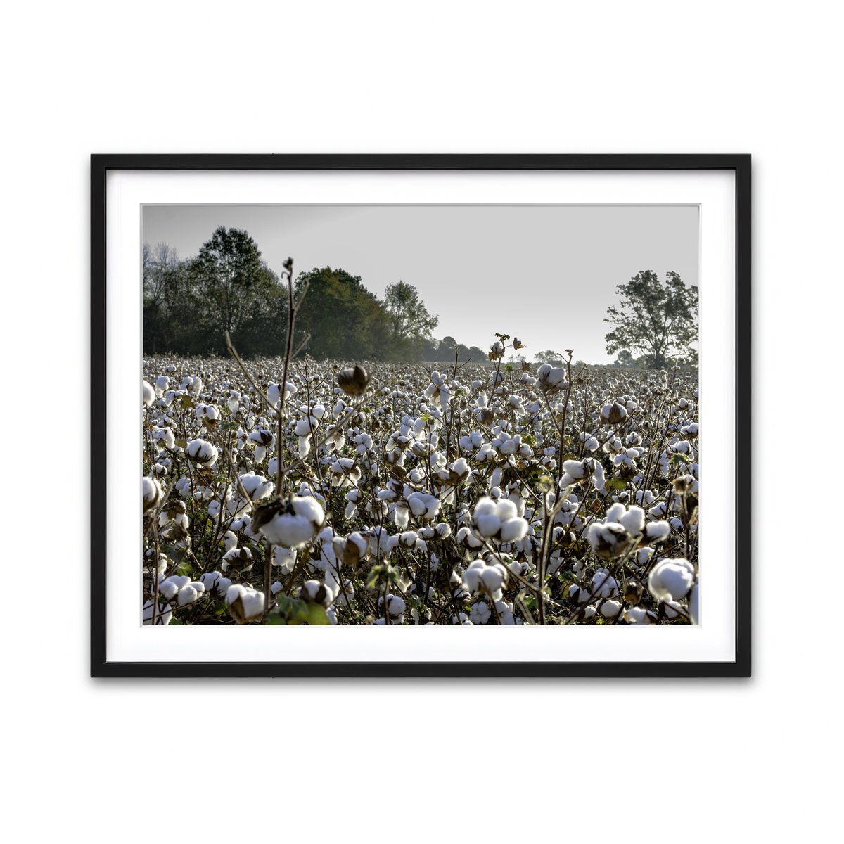 Framed Print 4x3 Black