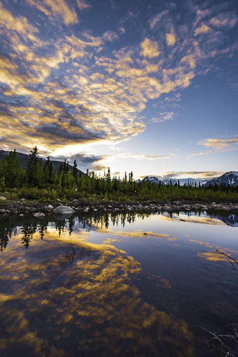 Alaskan Evening Wall Art
