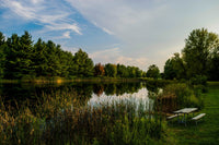 Alum Creek Fishing Pond Wall Art