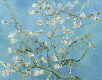 Amandelbloesem Wall Art