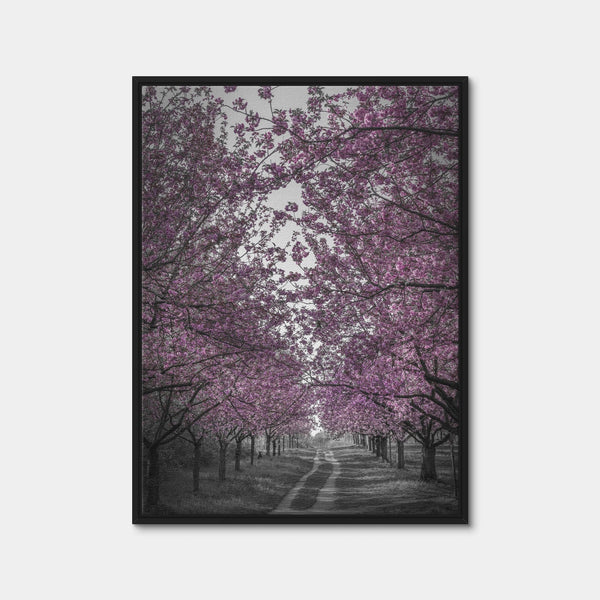 Amazing Cherry Blossom Alley in Pink Wall Art — Framed Canvas Format preview