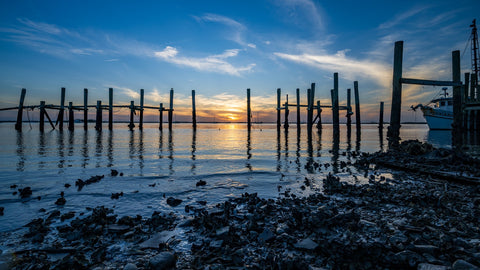 Amelia Island Florida Sunset Wall Art