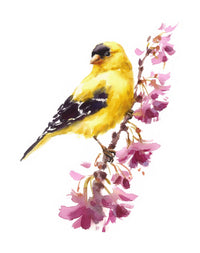 American Goldfinch Wall Art