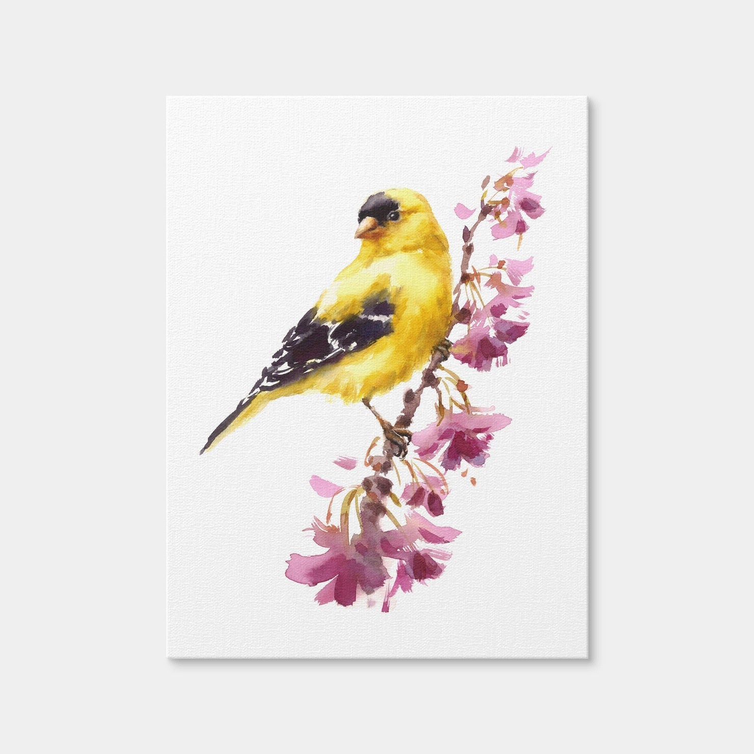 AUTO-MOCKUP WHITE | American Goldfinch | 1 Piece | Gallery Wrap Canvas | group=3x4