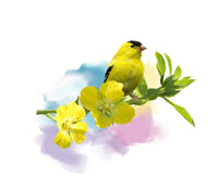 American Goldfinch watercolor Wall Art