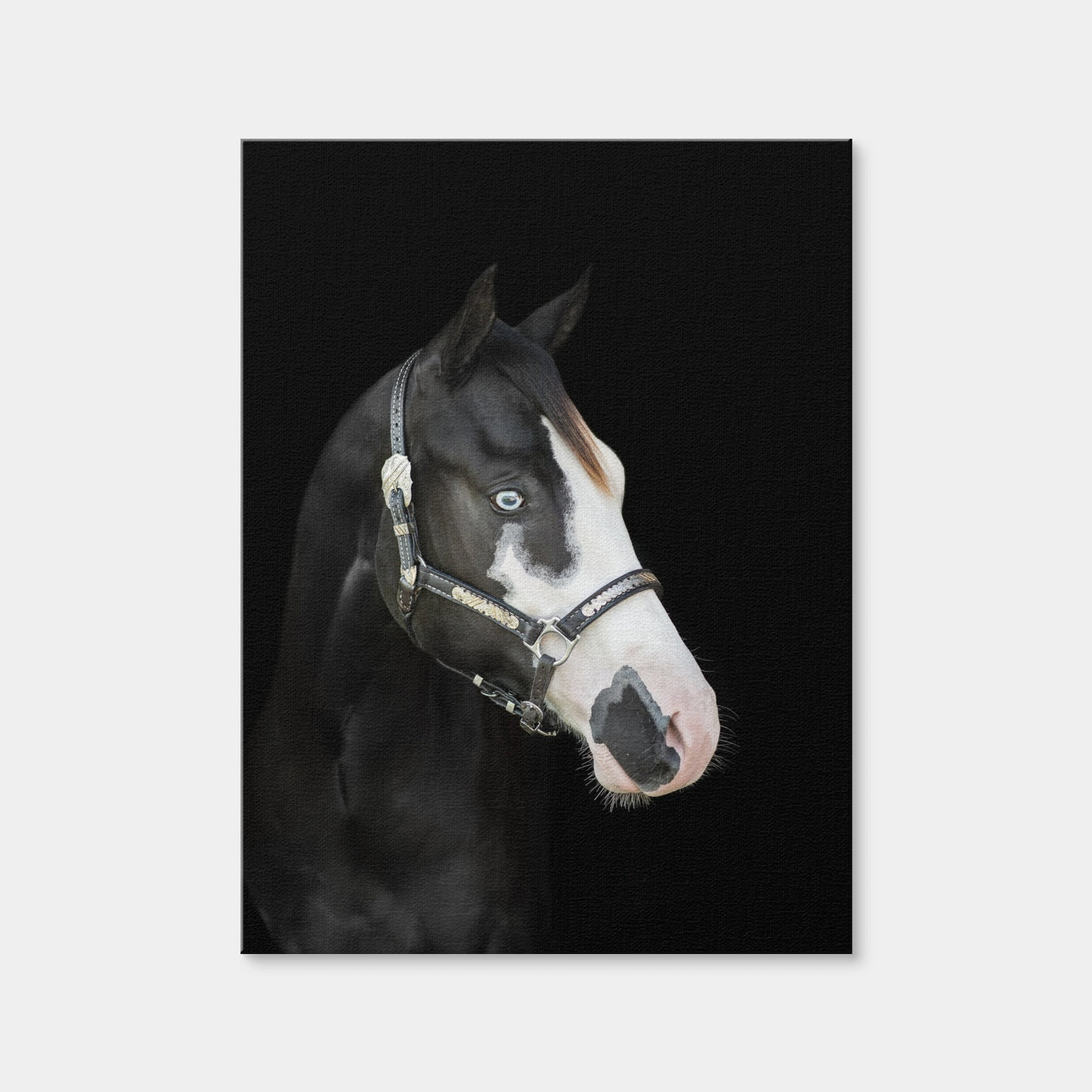 AUTO-MOCKUP WHITE | American Paint Horse | 1 Piece | Gallery Wrap Canvas | group=3x4