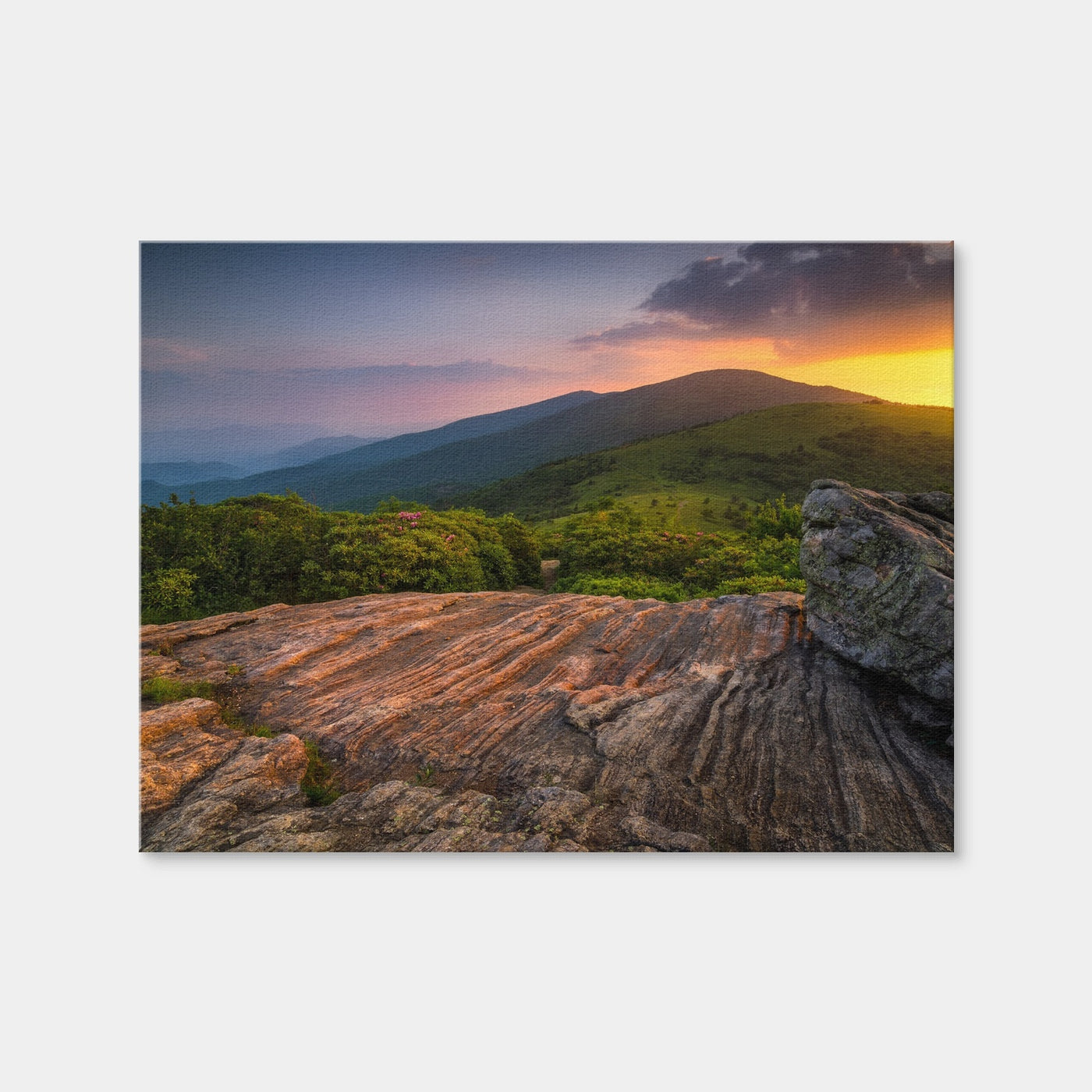 AUTO-MOCKUP WHITE | Appalachian Trail Roan Mountain state Park | 1 Piece | Gallery Wrap Canvas | group=4x3