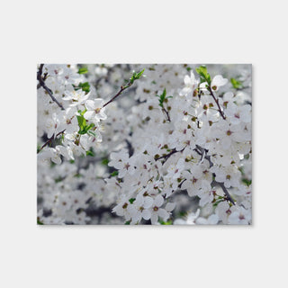 AUTO-MOCKUP WHITE | Apple Tree Blossoms | 1 Piece | Gallery Wrap Canvas | group=4x3
