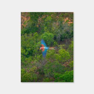 AUTO-MOCKUP WHITE | Arara | 1 Piece | Gallery Wrap Canvas | group=3x4