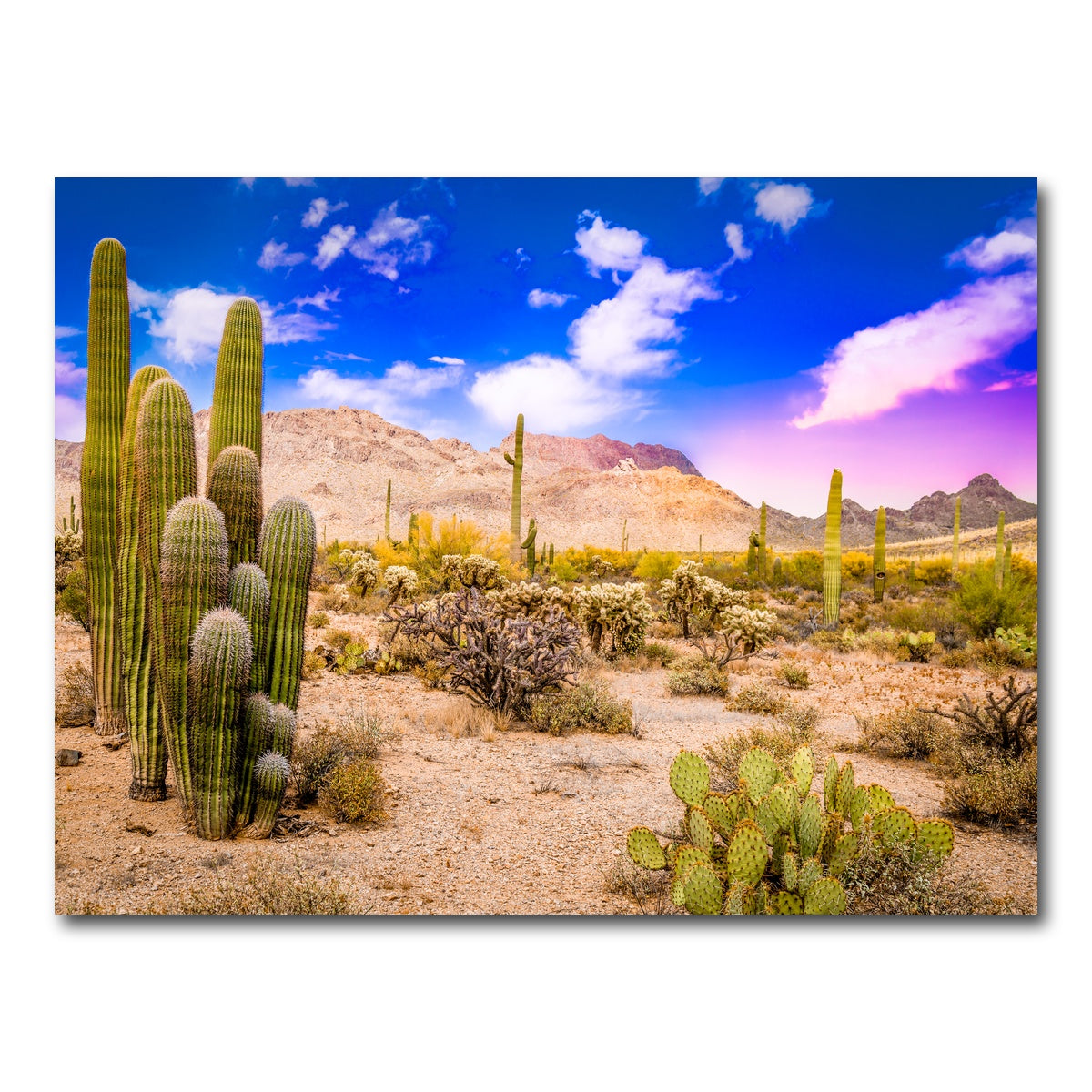 AUTO-MOCKUP WHITE | Arizona Desert Springtime | 1 Piece | Gallery Wrap Canvas | group=4x3