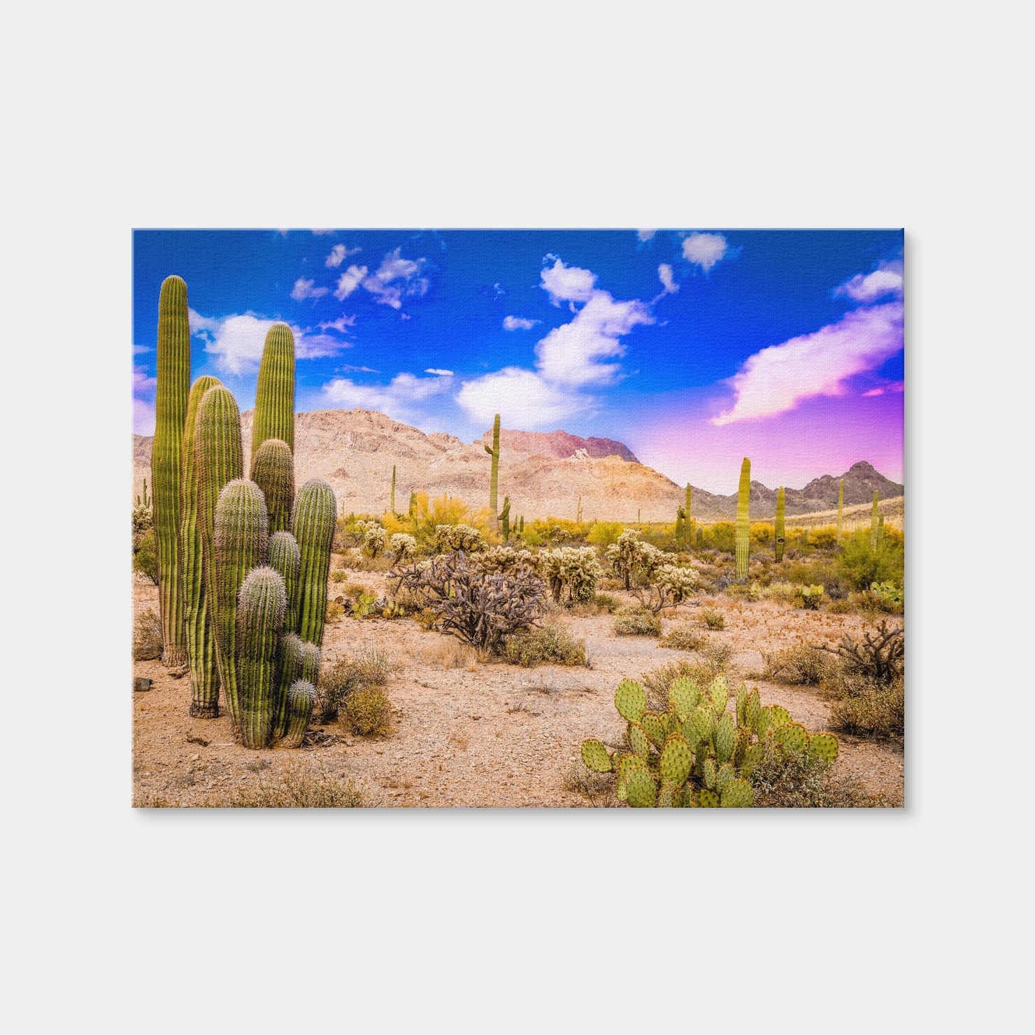 AUTO-MOCKUP WHITE | Arizona Desert Springtime | 1 Piece | Gallery Wrap Canvas | group=4x3