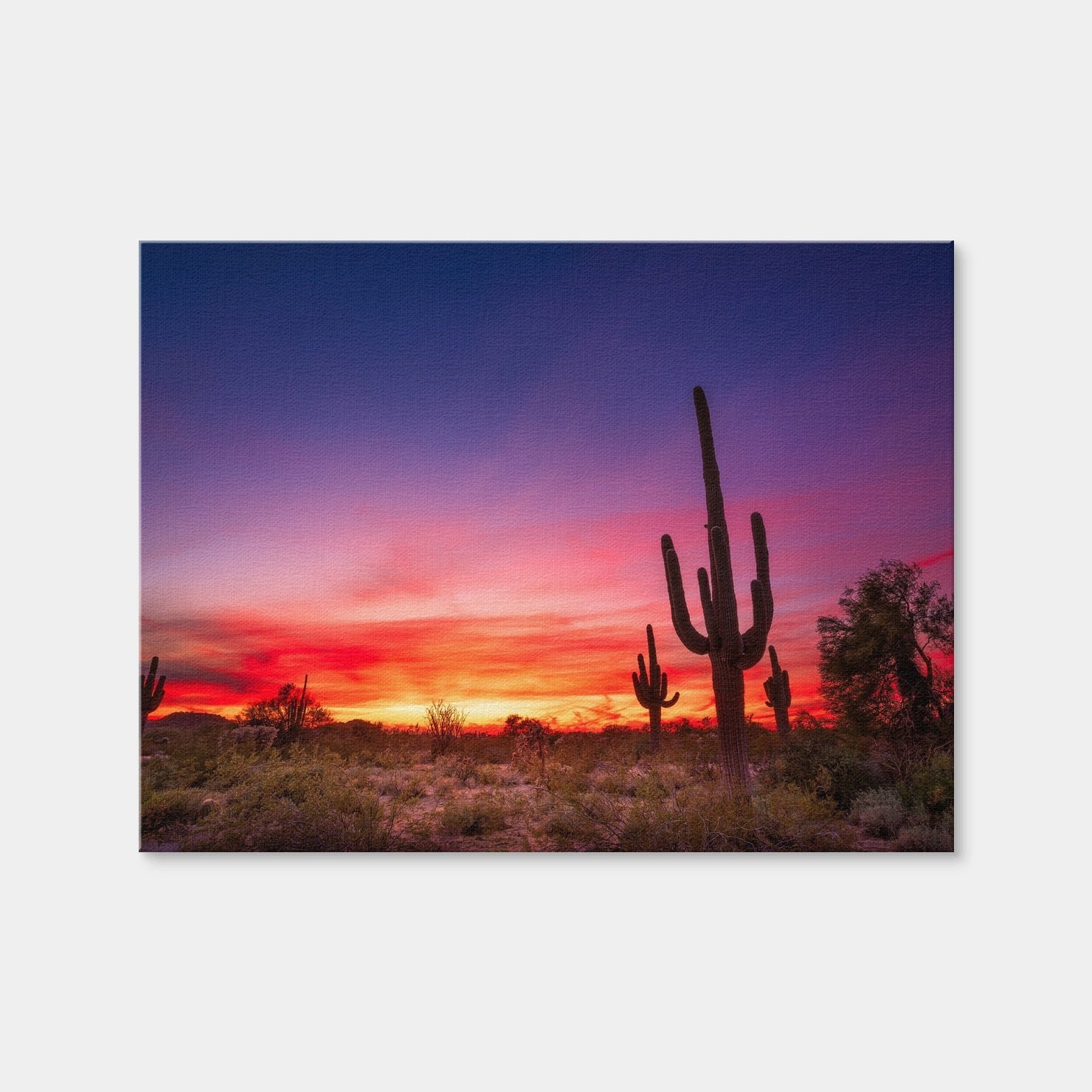 AUTO-MOCKUP WHITE | Arizona Landscape | 1 Piece | Gallery Wrap Canvas | group=4x3