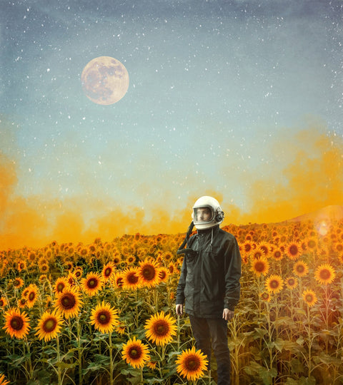 Astro Garden Wall Art