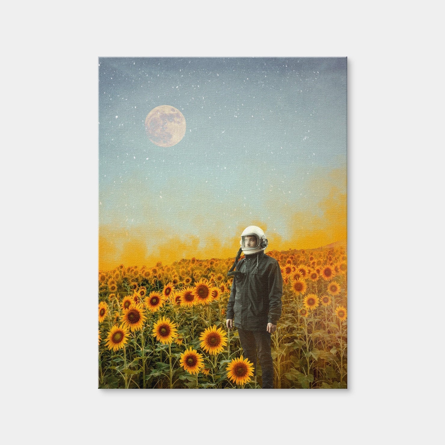 AUTO-MOCKUP WHITE | Astro Garden | 1 Piece | Gallery Wrap Canvas | group=3x4