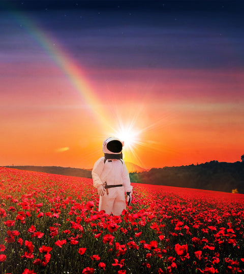 Astro Sunset Wall Art