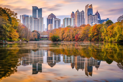 Atlanta From The Park Wall Art