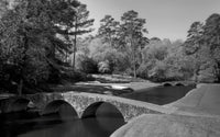 Augusta National Grayscale Wall Art