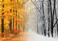 Autumn-Winter Wall Art