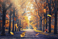 Autumn In Holland Wall Art