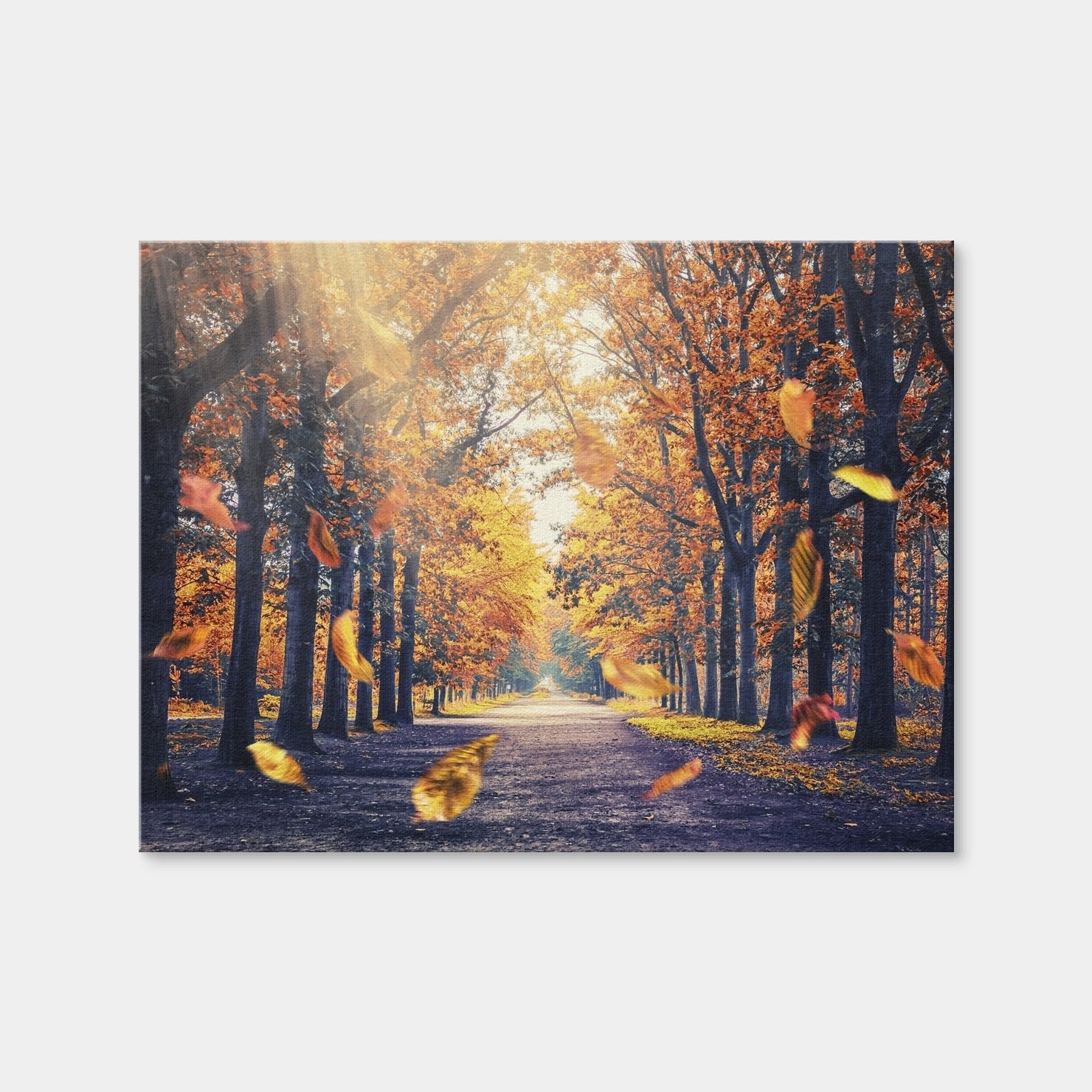 AUTO-MOCKUP WHITE | Autumn In Holland | 1 Piece | Gallery Wrap Canvas | group=4x3