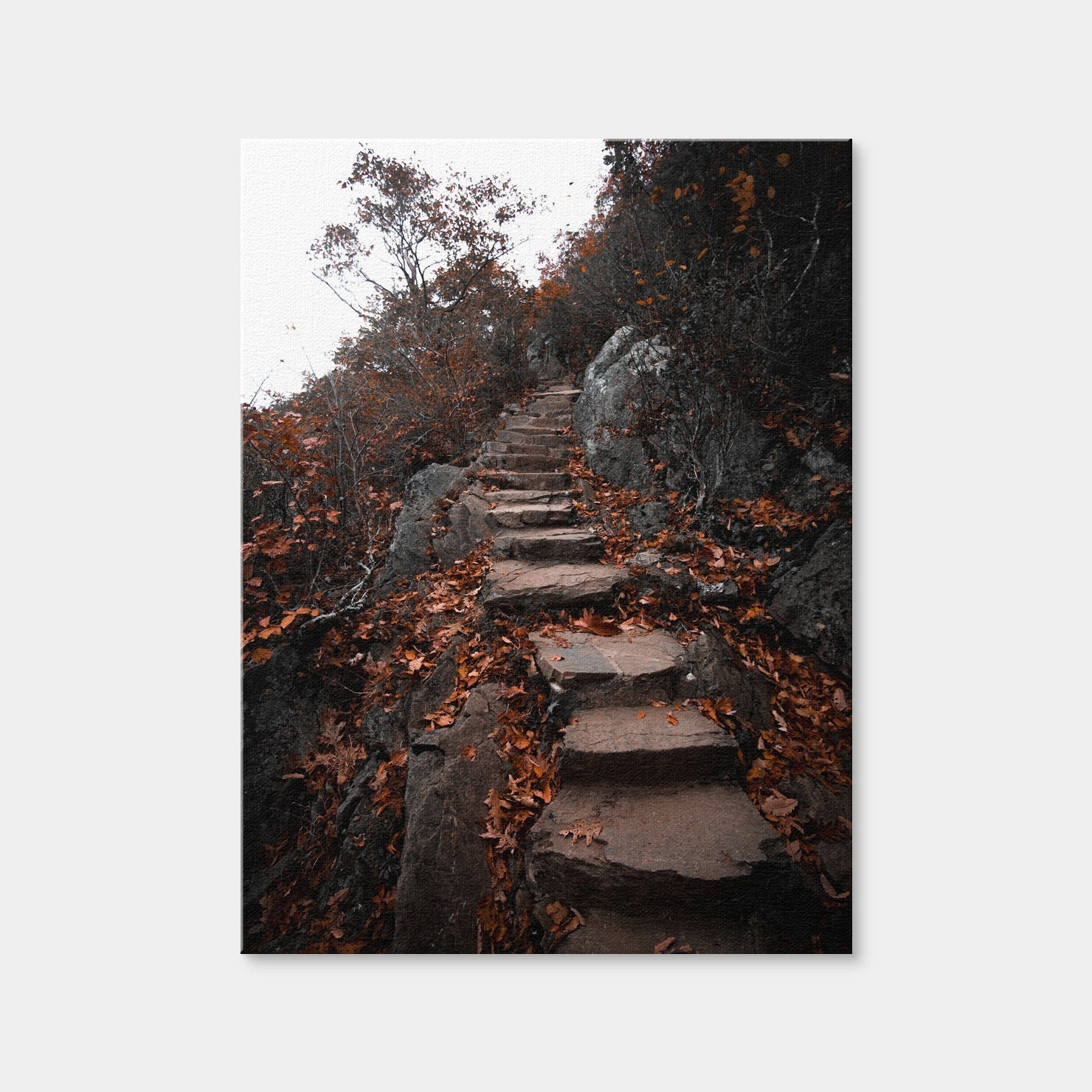 AUTO-MOCKUP WHITE | Autumn Path | 1 Piece | Gallery Wrap Canvas | group=3x4