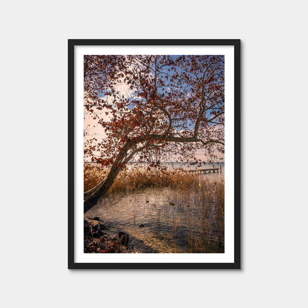 Autumn Wall Art — Framed Print Format preview