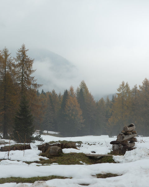 Autumn or Winter Wall Art