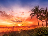 BONITA BEACH Lovely Sunset Wall Art