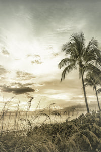 BONITA BEACH Vintage Sunset Wall Art