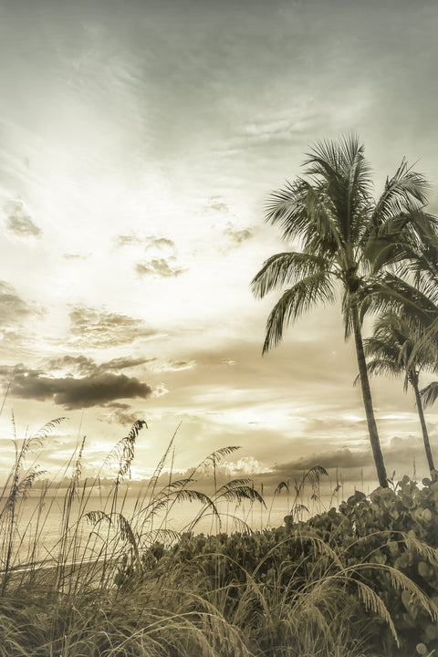 BONITA BEACH Vintage Sunset Wall Art