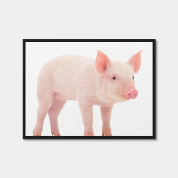 Baby Pig Wall Art — Framed Canvas Format preview