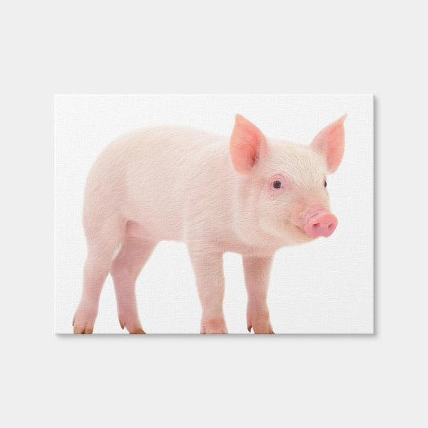 Baby Pig Wall Art — Canvas Wrap Format preview