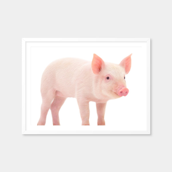 Baby Pig Wall Art — Framed Print Format preview