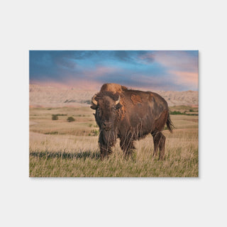AUTO-MOCKUP WHITE | Badlands Bison Bull | 1 Piece | Gallery Wrap Canvas | group=4x3