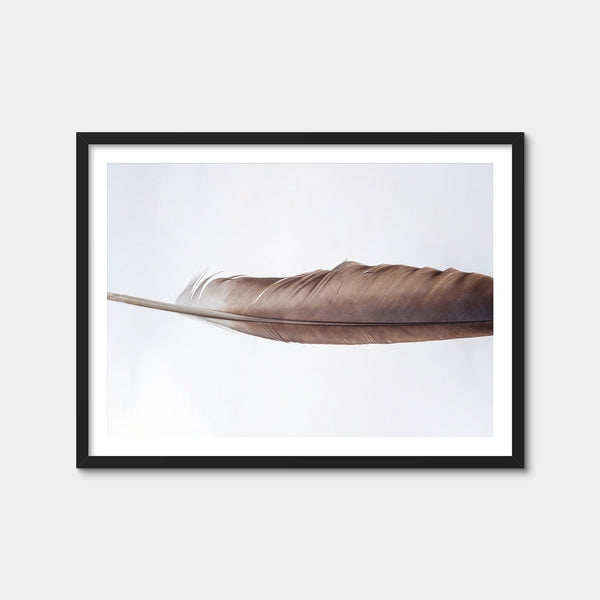 Bald Eagle Feather Wall Art — Framed Print Format preview