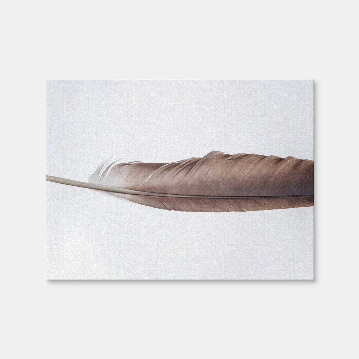 AUTO-MOCKUP WHITE | Bald Eagle Feather | 1 Piece | Gallery Wrap Canvas | group=4x3