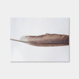 AUTO-MOCKUP WHITE | Bald Eagle Feather | 1 Piece | Gallery Wrap Canvas | group=4x3